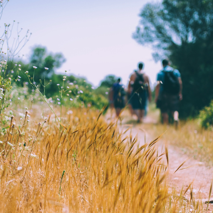 Wanderung durch die Felder