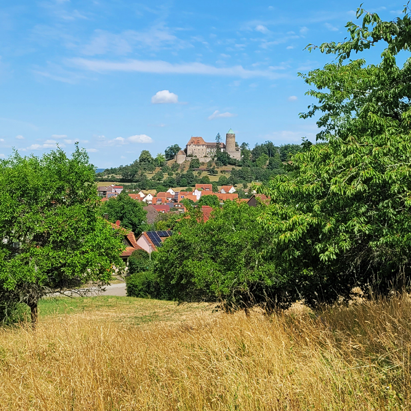 Streuobstwiese mit herrlichem Blick auf die Burg Colmberg