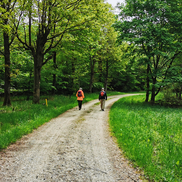 Wandern in der Gemeinde Neusitz