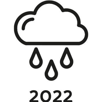 Icon Niederschlag im Jahr 2022