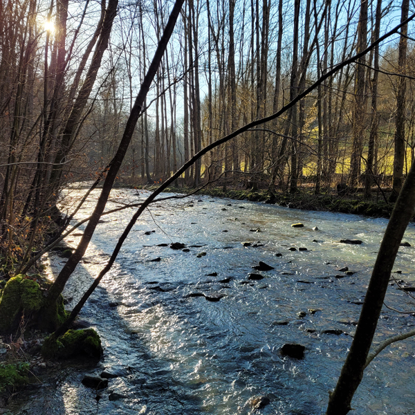 Sonnenstrahlen funkeln in der Tauber