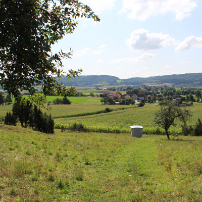 Blick ins Grüne und auf die Schäferkarre: Kleinstes Schäfermuseum Deutschlands