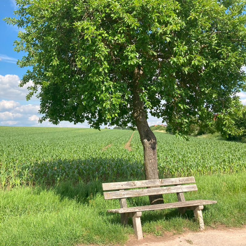 Sommer im Naturpark Frankenhöhe