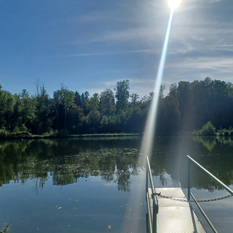 Sommeridylle am Wettringer Badeweiher