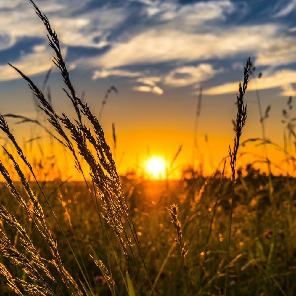 Sonnenuntergang in der Natur