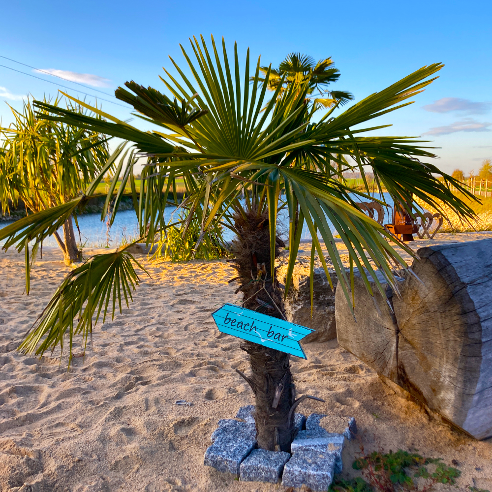 Palme Dschilly Island