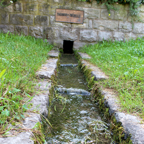 Tauberquelle in Wettringen