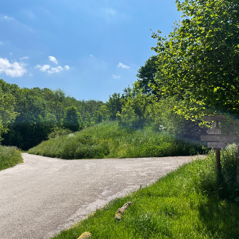 Gabelung auf dem Rückweg