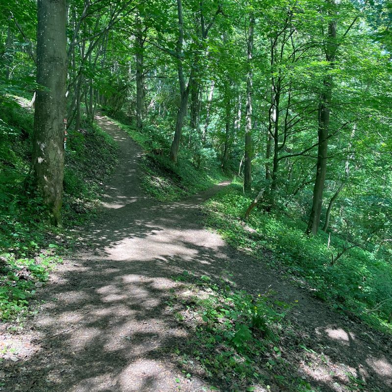 Der Natursteig