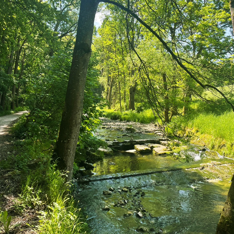 Blick auf die Schandtauber