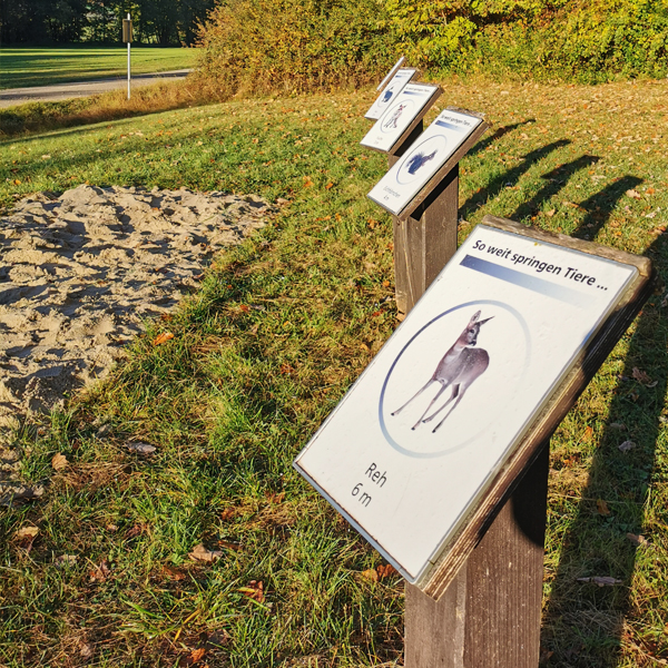 Waldklassenzimmer Wörnitz So weit springen Tiere