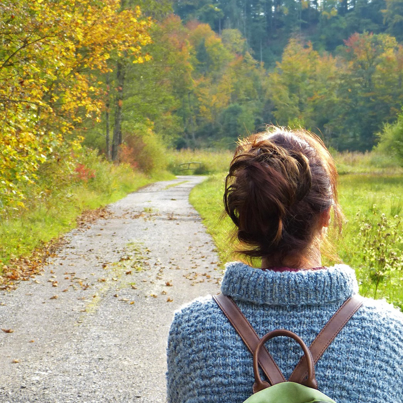 Rothenburger Herbstwanderwoche: Die Natur genießen