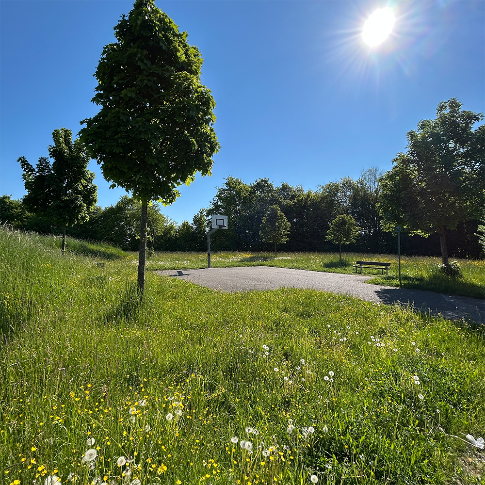 Basketballplatz Wannenbad in Feuchtwangen