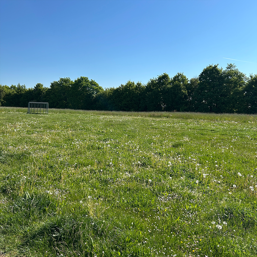 Übersicht über den Fußballplatz Wannenbad in Feuchtwangen
