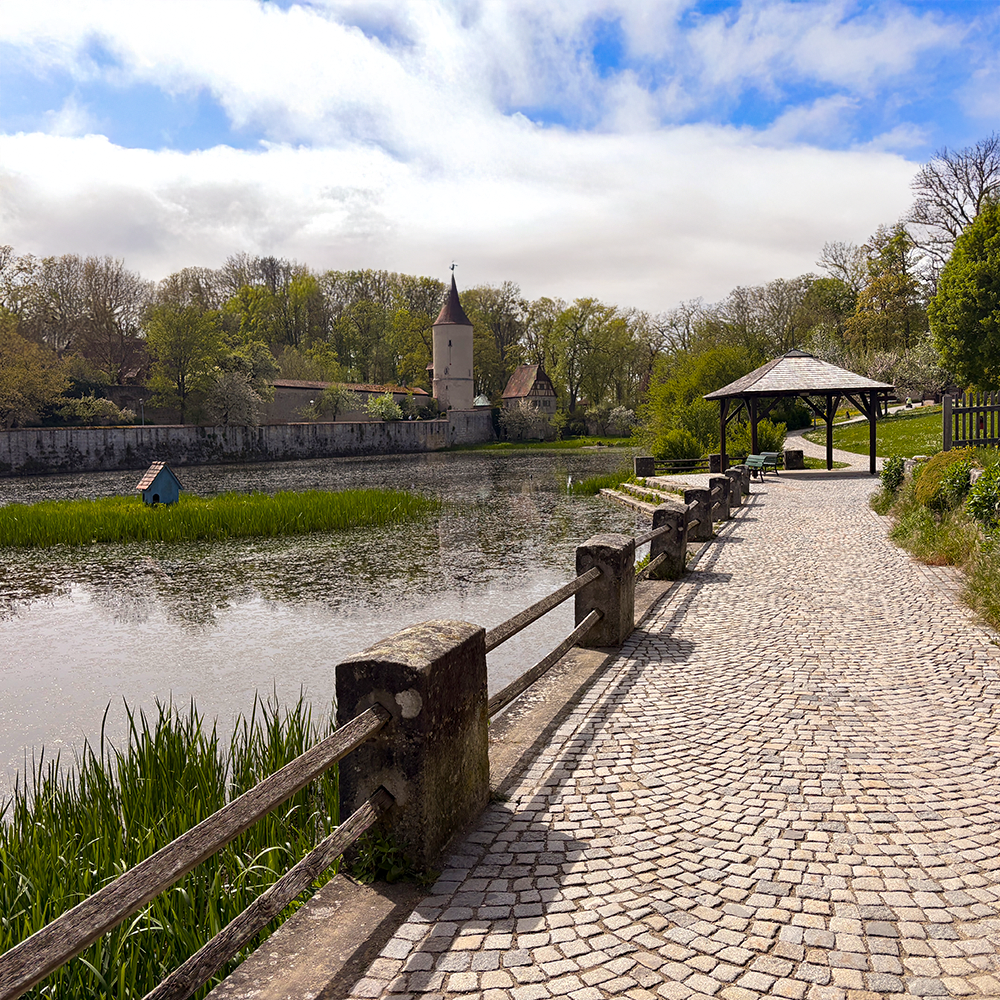 Frühling am Rothenburger Weiher in Dinkelsbühl
