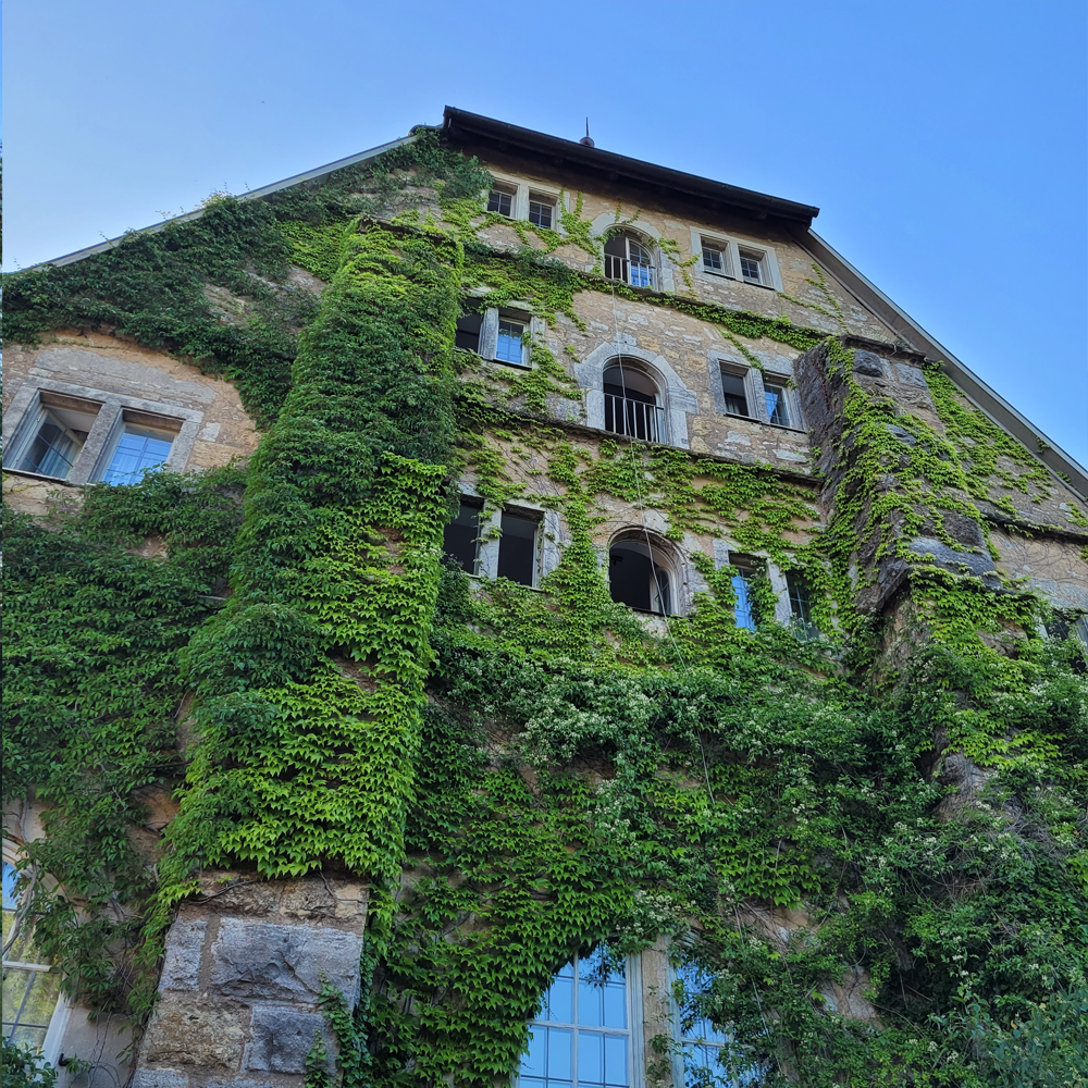 Die Rossmühle in Rothenburg ob der Tauber