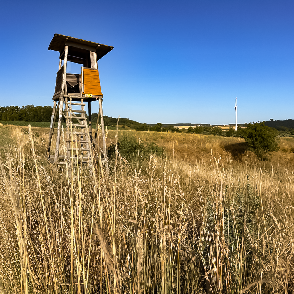 Hochsitz im einem Feld nahe Insingen