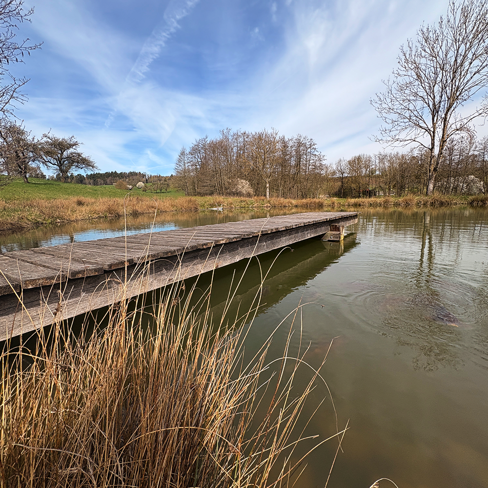 Malerischer Holzsteg auf dem Weiher in Altengreuth