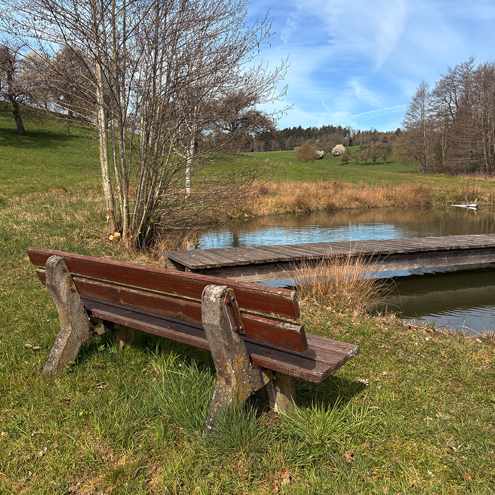Der Weiher in Altengreuth bei Schillingsf&uuml;rst im Fr&uuml;hling