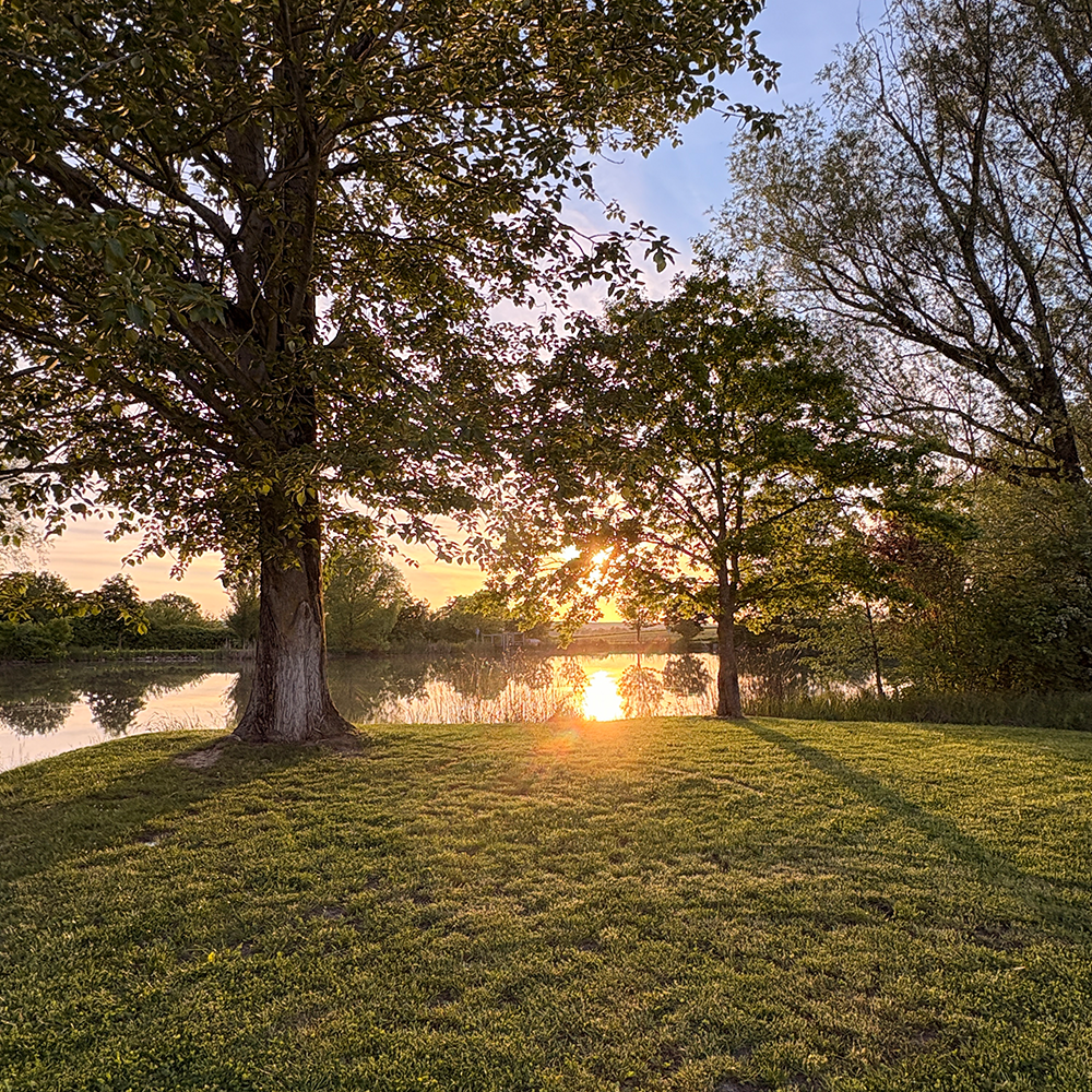 Abendsonne über den Binzwanger Weiher