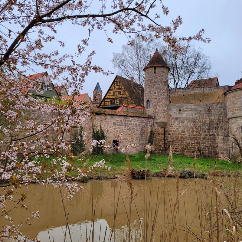 Der Frühling hält Einzug in Dinkelsbühl.