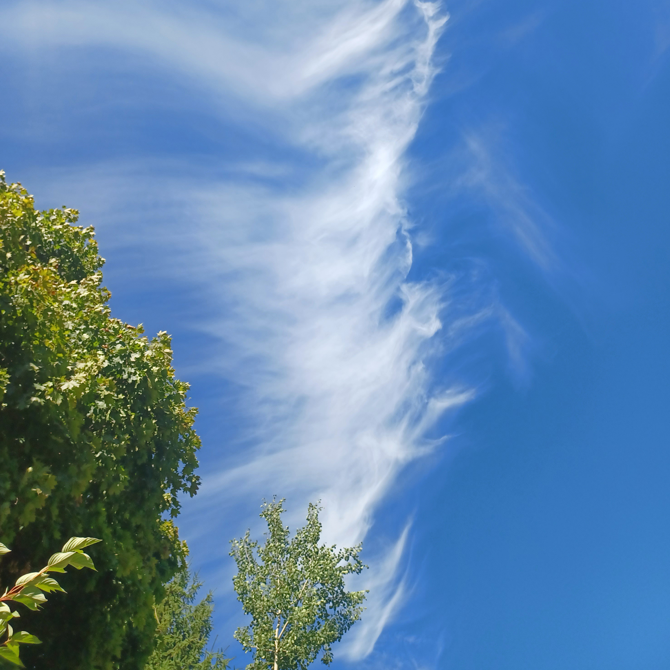 Mitunter zeigten sich bizarre Wolken am Julihimmel