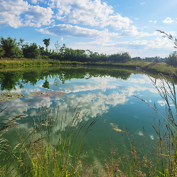 Auf ins kühle Nass: Der Badeweiher Gailnau