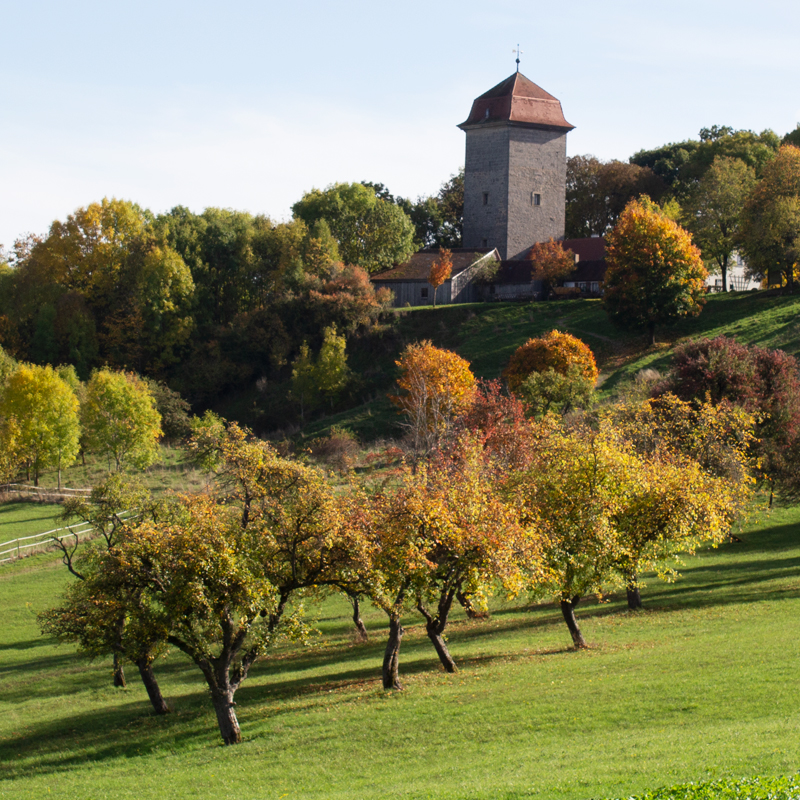 Brunnenhausmuseum Schillingsfürst: Goldene Herbsttage in Schillingsfürst