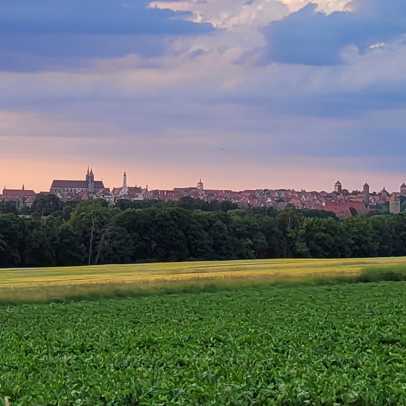 Blick auf Rothenburg ob der Tauber