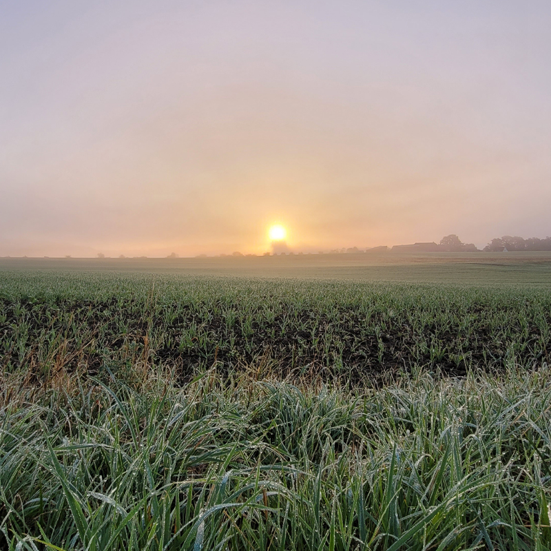 Sonnenaufgang in Wörnitz