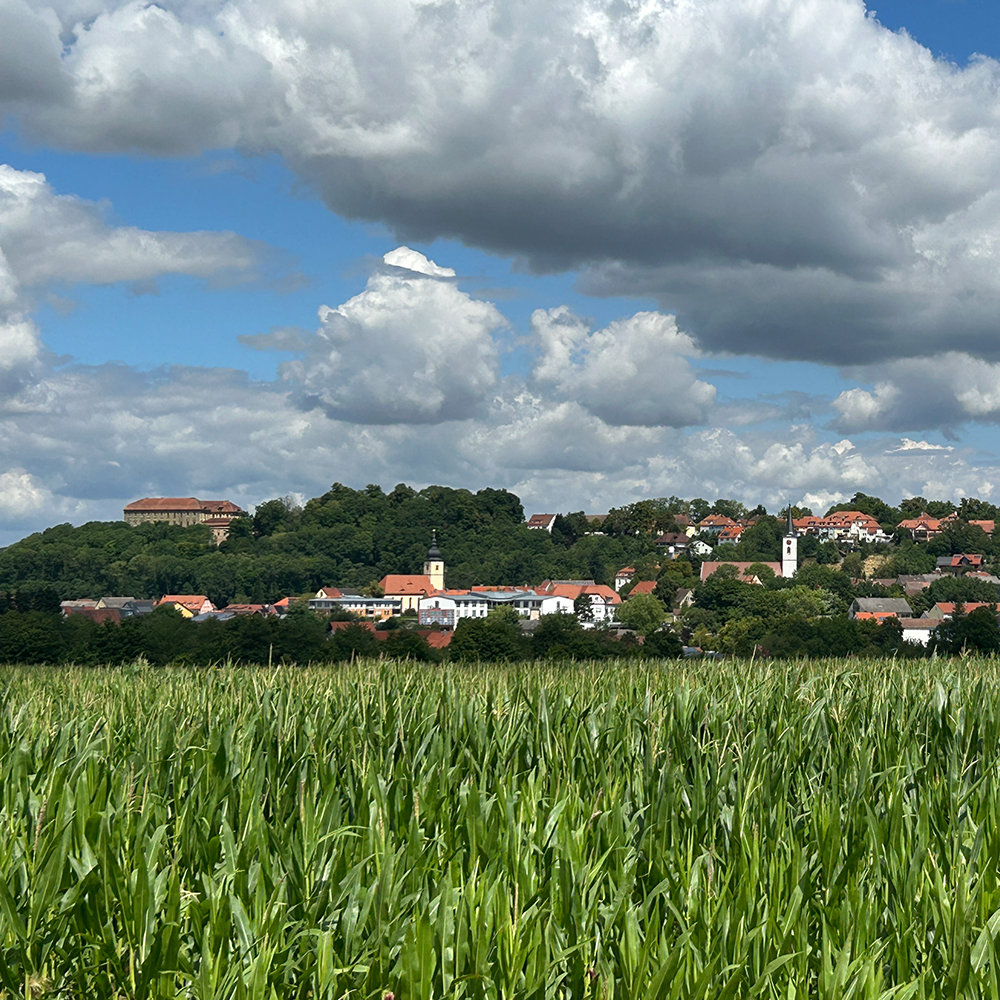 Malerischer Blick auf Schillingsfürst