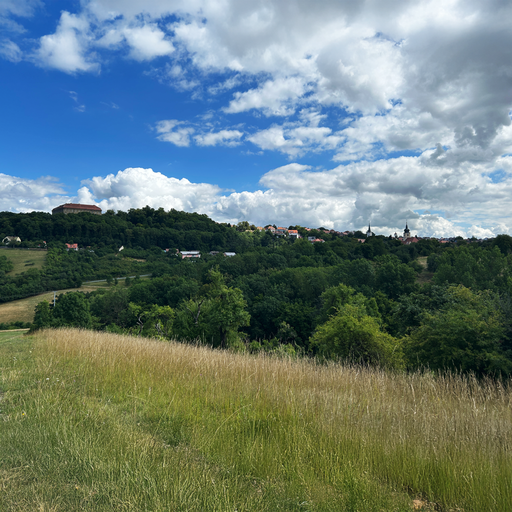 Blick über Schillingsfürst